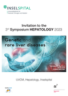 Flyer - 3. Hybrid Symposium Hepatologie
